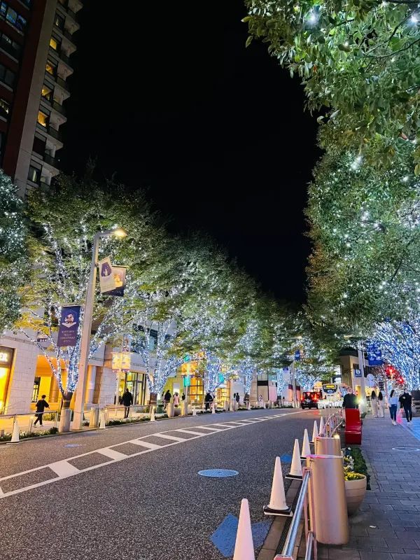 Roppongi Christmas 2022 has begun