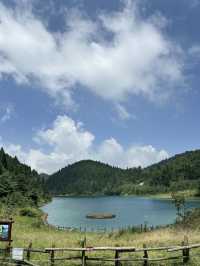 周末在大山裡拍照露營兩不誤。