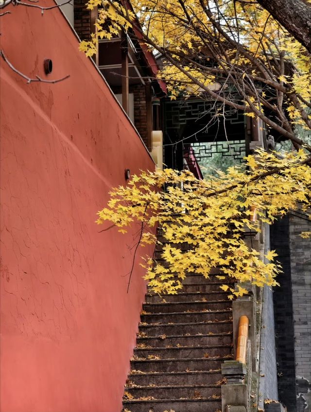 北京·白瀑寺。