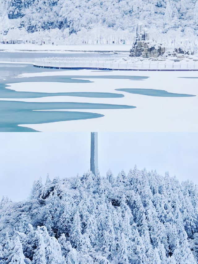 來重慶實現現實版「冰雪奇緣」