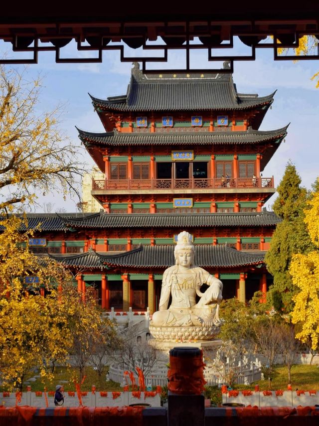 為了這18張照片，我特意飛了趟南京