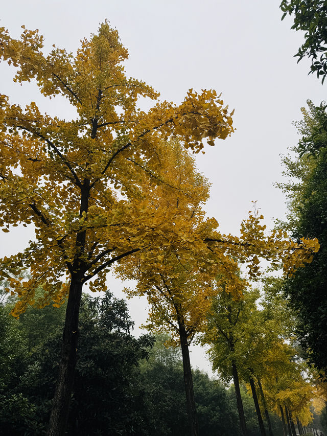 西安~唐城牆遺址公園秋景 西安~唐城牆遺址公園秋景