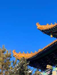 武威2日遊 玩轉熱門景點不重樣