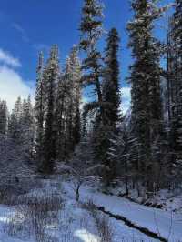 在西安｜兩日遊也能體驗到雪山的快樂