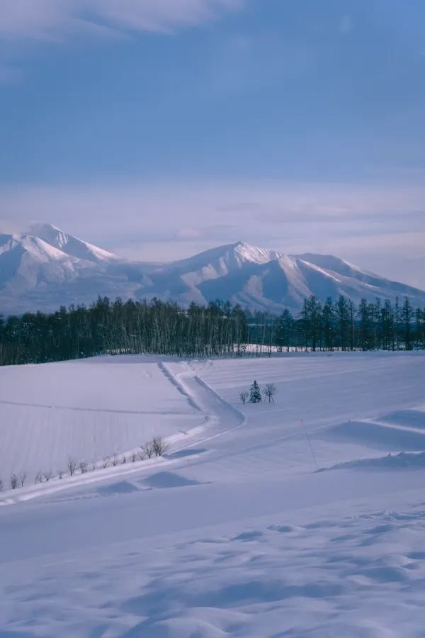 開盲盒的日本北海道冬季天氣📷