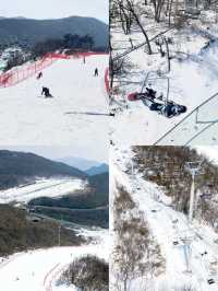 雲上草原滑雪秘笈：老手的三年實戰心得