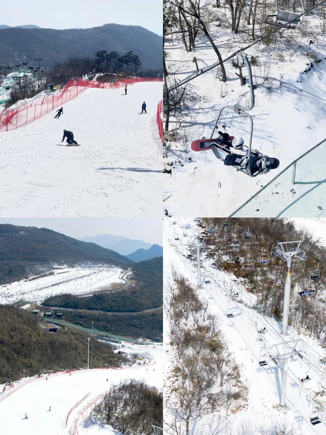 雲上草原滑雪秘笈：老手的三年實戰心得