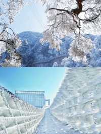 住進廣東版「雪鄉」！邂逅雲海冰掛霧凇仙境