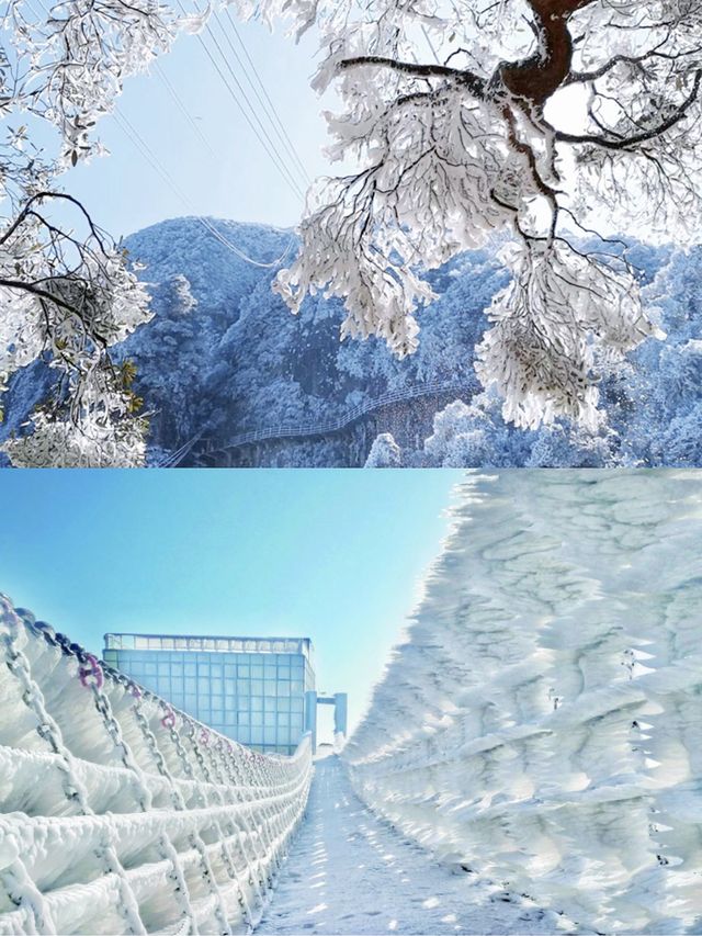 住進廣東版「雪鄉」！邂逅雲海冰掛霧凇仙境