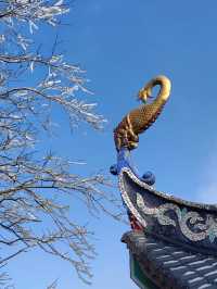 【絕美自駕行】華蓥寶鼎，邂逅1,600米高空雪域仙境