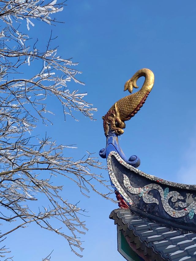 【絕美自駕行】華蓥寶鼎，邂逅1,600米高空雪域仙境