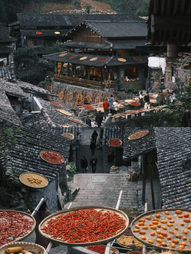 滿山都是紅柿子的600年古村，該他火了！