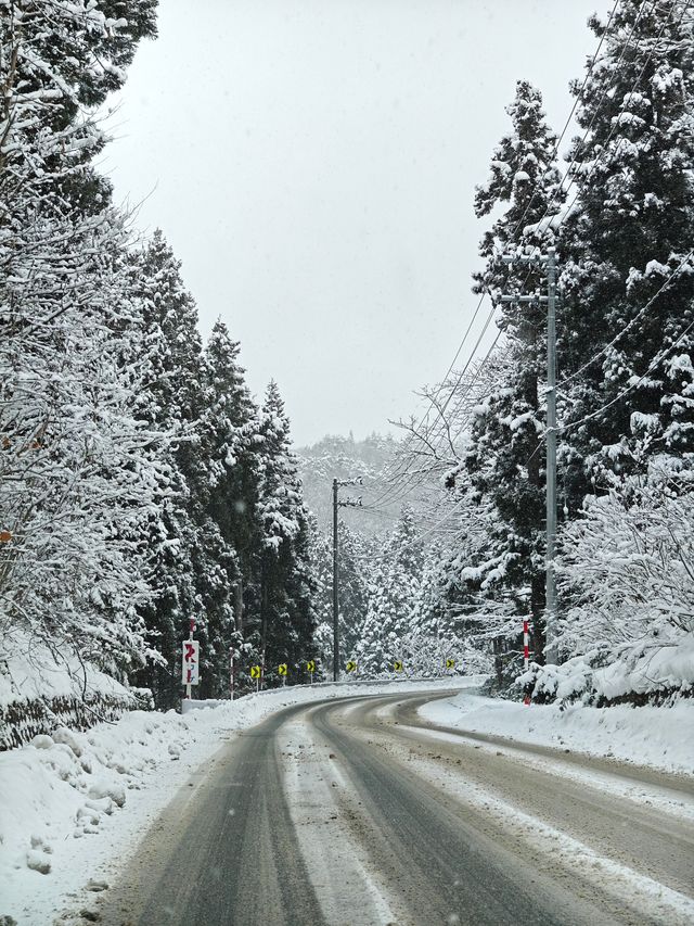 暴雪抵達藏王 化身童話世界 瘋狂出片的一天