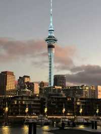 Auckland New Year Celebration