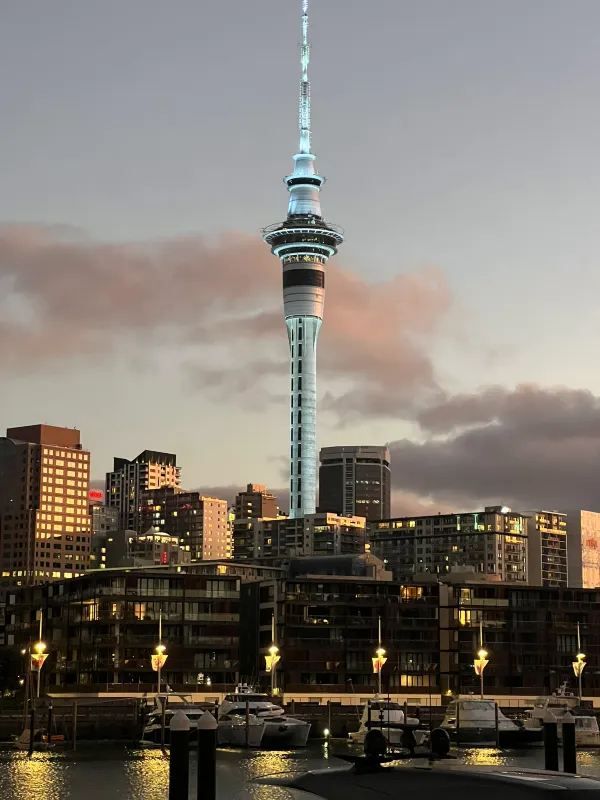 Auckland New Year Celebration