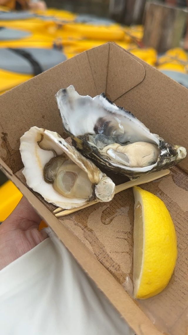悉尼周邊 | 南岸寶藏一日遊 保姆級攻略來咯