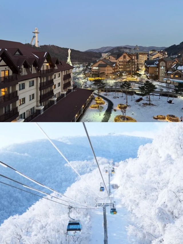 姊妹們來平昌郡喜歡看雪的必備攻略