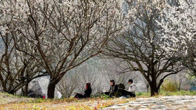 石門國家森林公園