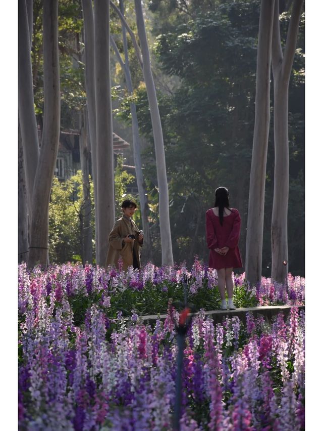 記憶中的忠綸公園花海，真的從來就沒輸過！