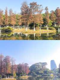 水墨園變成了「水鏡園」，景色太美啦!