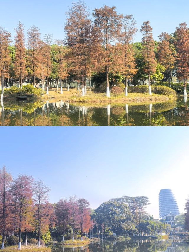 水墨園變成了「水鏡園」，景色太美啦!