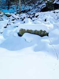 成都動車1h 直達免費玩雪！寵物友好景區