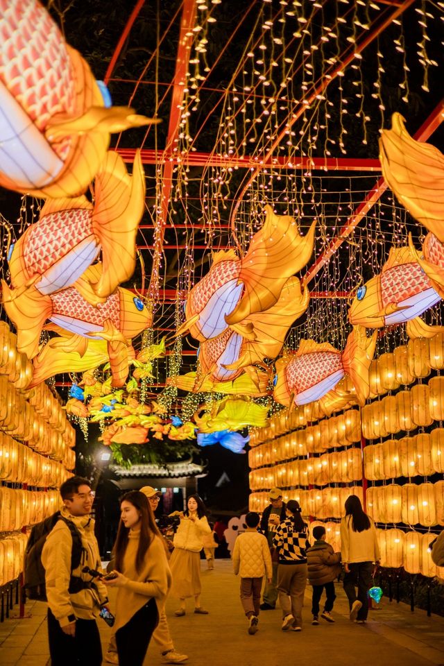 太震撼了！來珠海過大年，逛古鎮遊燈會