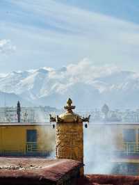 來拉薩怎麼能不去扎基寺呢