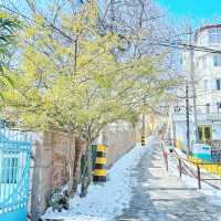 24年不遇嘅大雪，青島嘅海變成咗點樣？