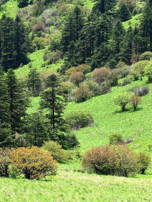 過年要去武當山風景區等地超詳細攻略已備好