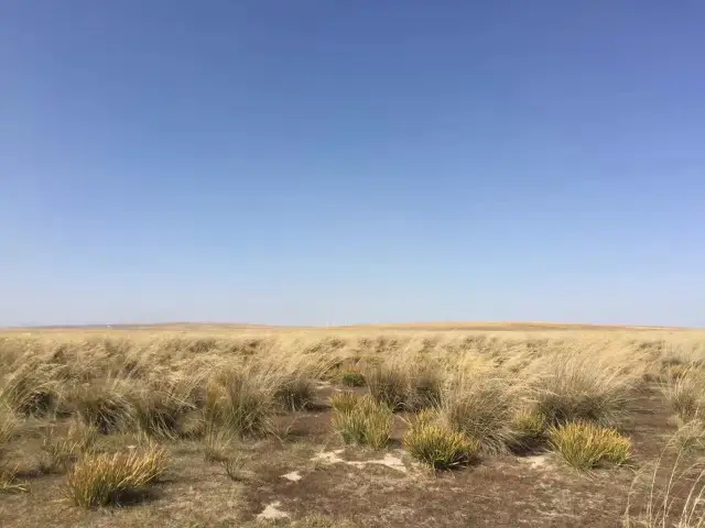 草原盟主成吉思汗究竟在何入土