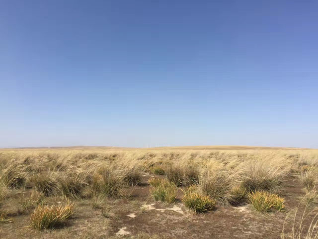 草原盟主成吉思汗究竟在何入土