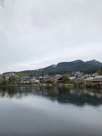 過年去日本5天行程攻略速覽