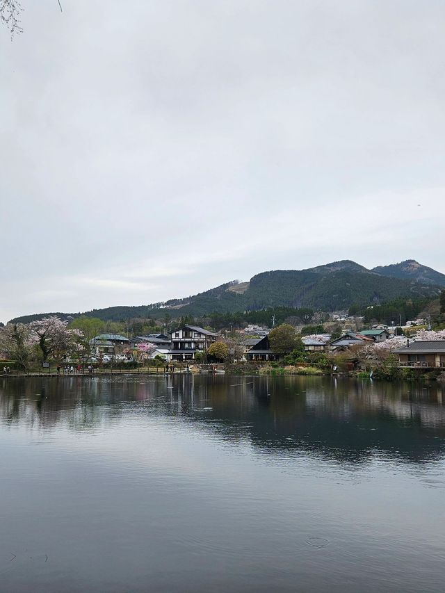 過年去日本5天行程攻略速覽