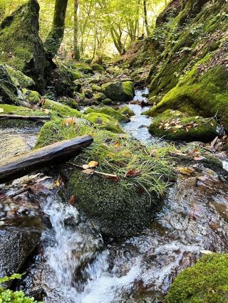 岩石花園