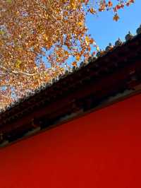 不用去北京！杭州都有同款紅牆影相啦！！
