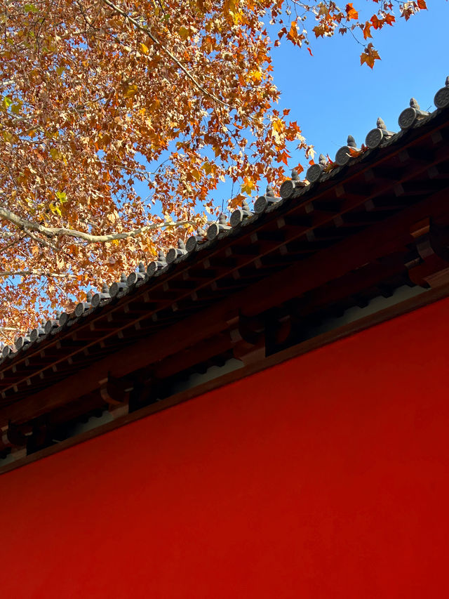 不用去北京！杭州都有同款紅牆影相啦！！
