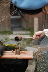 成都周邊住進森林心臟的私湯小屋