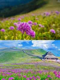 阿西里西大草原｜闖入宮崎駿的漫畫世界