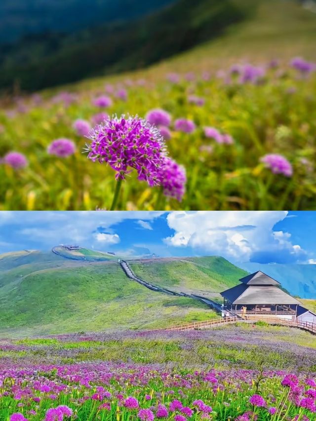 阿西里西大草原｜闖入宮崎駿的漫畫世界