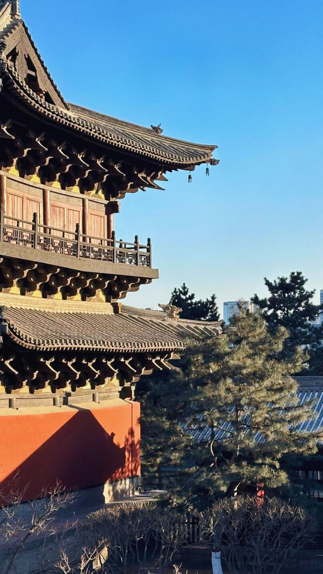 當外國人遇見雲岡石窟表情管理失控了