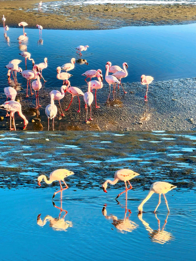 納米比亞斯瓦科普蒙德｜沙漠與海洋邂逅嘅奇幻之地