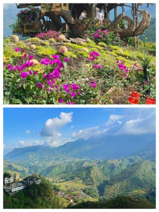 Thu Duc City: Explore the charm and tranquility of the south