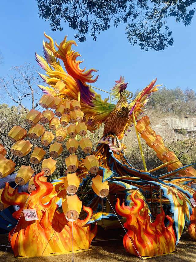 打卡《九重紫》取景地——新昌大佛寺景區！