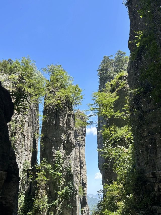 恩施土家族苗族自治州3日親子遊全攻略