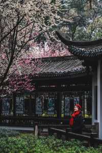 成都｜呢個公園免費賞梅！地鐵直達！