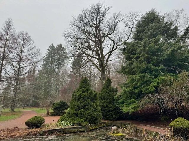 探秘圖爾庫植物園：北歐的綠色仙境 