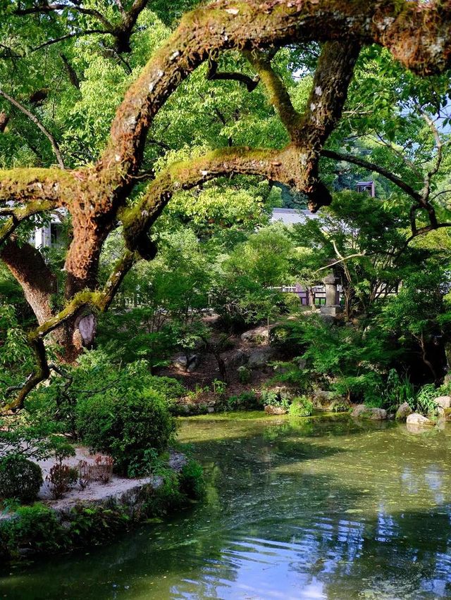 日本福岡風景優美，值得一遊