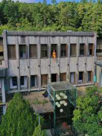 瓊中山系民宿，住喺呢度可以活到100歲吧！