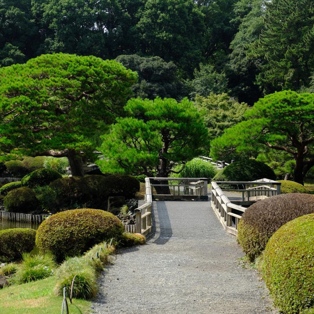 🌸東京秘境！鬧市中的皇家園林全攻略🍀